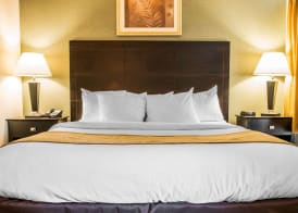 Comfort Inn Whitehall near Michigan's Adventure 4