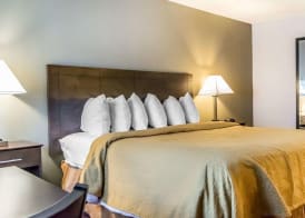 Quality Inn & Suites University-Airport 5