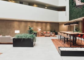 The Pearl Troia 5