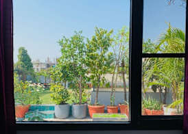 Vandana's Bed and breakfast 4