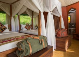Serengeti Simba Lodge 4