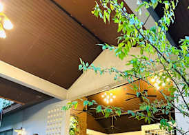 Tree House Hotel (sha Certified) 2