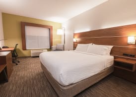 Holiday Inn Express & Suites EAST LANSING by IHG 3