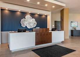 Cambria Hotel St Petersburg-Madeira Beach Marina 2