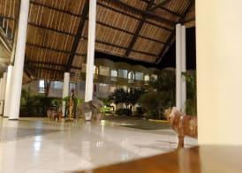 Kaskazi Beach Hotel 4