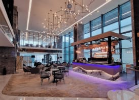 Anara Airport Hotel 3