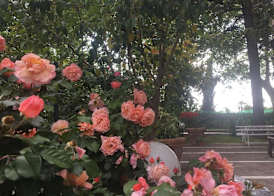 Villa Nicodemo 2