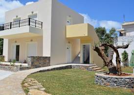 Olive Grove Apartments 3