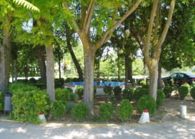 Manzanares 4