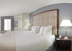 Holiday Inn & Suites CHICAGO-CAROL STREAM (WHEATON) by IHG 4