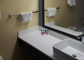 Days Inn & Suites by Wyndham Grand Rapids Near Downtown 5