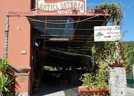 Affittacamere La Collina Degli Ulivi 3