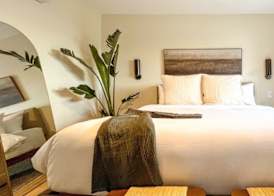 Terra Palm Springs 5