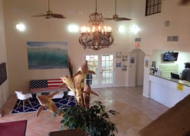 Super 8 by Wyndham South Padre Island 4