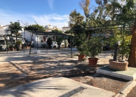 Camping Torremolinos 4