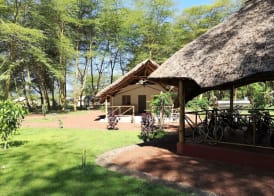 Africa Safari Lake Manyara 4