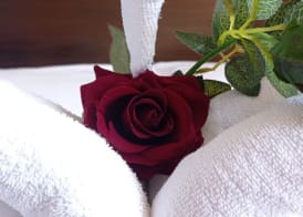 Romalive Hotel 5