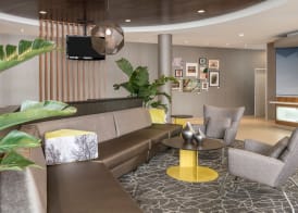 SpringHill Suites by Marriott Lafayette South at River Ranch 2