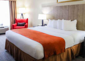 Country Inn & Suites by Radisson, Chester, VA 5