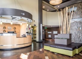 Comfort Suites New Bern near Cherry Point 4