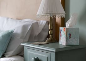 Cawthorne House 3