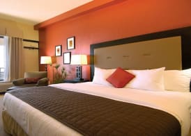 Holiday Inn Resort GALVESTON-ON THE BEACH by IHG 4