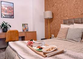 Bucharest Airport Hotel 5