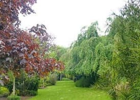 Diamond Hill Country House 3