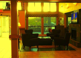 Comfort Inn & Suites 3
