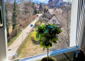 DG Links 40m 2-Zimmer Wohnung 5
