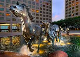 Hilton Garden Inn DFW Airport South 2