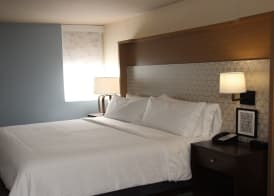 Holiday Inn METAIRIE NEW ORLEANS by IHG 2