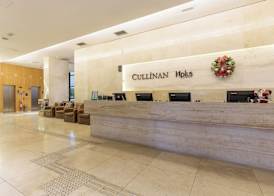 Cullinan Hplus Premium 2