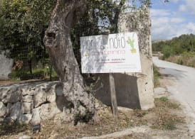 Camping Fiori di Noto 2