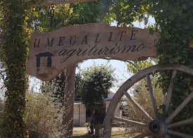 Agriturismo Il Megalite 2