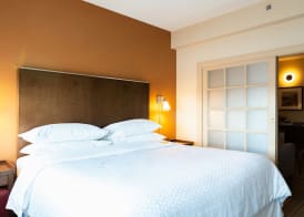 Lakeview Signature, Trademark Collection by Wyndham 5