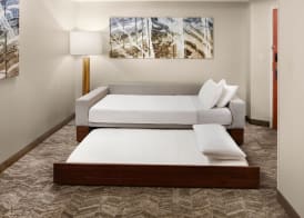 SpringHill Suites by Marriott Virginia Beach Oceanfront 4