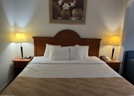 Quality Suites Altavista - Lynchburg South 3