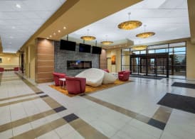Hotel 11, MOD A Sonesta Collection 4