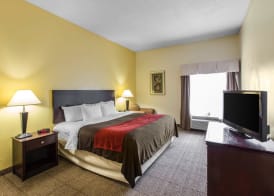 Comfort Inn & Suites Thomson 5