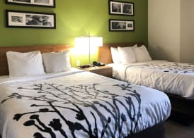 Sleep Inn Hardeeville - I-95 5