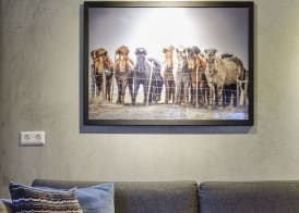 Freyja Guesthouse & Suites 2