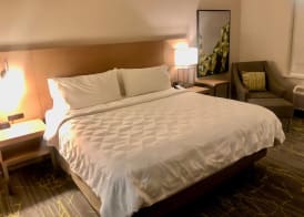 Holiday Inn & Suites HOUSTON NW - VINTAGE PARK AREA by IHG 5