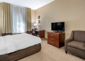 Comfort Inn & Suites St Louis-O'Fallon 4