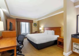 Best Western Plus Kingsland 5