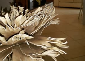 Vigne Vecchie 4