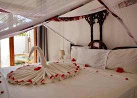 Boutique Ocean View Nungwi 3