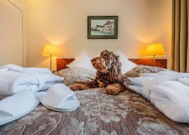 Grata by Centrum Hotels 4