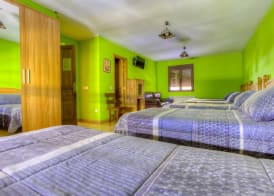 Hostal Rural La Tintoreria 4