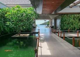 Park Hyatt St. Kitts 5